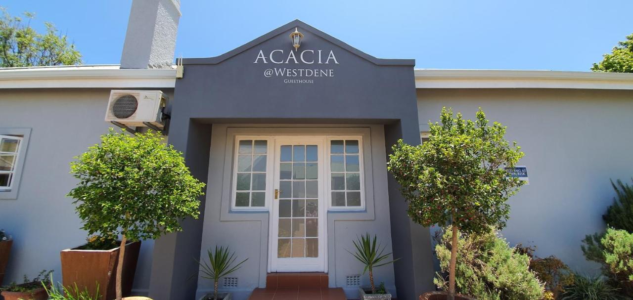 Acacia Westdene B&B Блумфонтейн Экстерьер фото